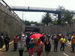 Contingente de maestros y activistas sobre Avenida de los Insurgentes. Foto: La Jornada