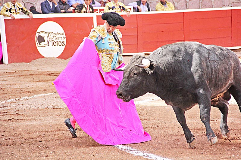 Las corridas de toros y peleas de gallos fueron declaradas por la 61 Legislatura como patrimonio cultural en la entidad ■ FOTO: LA JORNADA ZACATECAS 