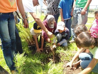 Reforestan 34 municipios para disminuir impacto ambiental