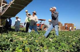 Ciudad de Nebraska mantiene norma contra migrantes