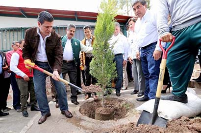 En el arranque el programa el gobernador sembró un árbol ■ foto: LA JORNADA ZACATECAS