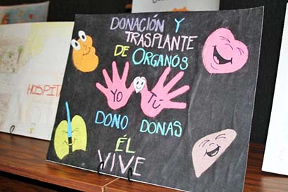 Algunos de los trabajos que infantes realizan sobre valores, altruismo y sentido social ■ foto: la jornada zacatecas