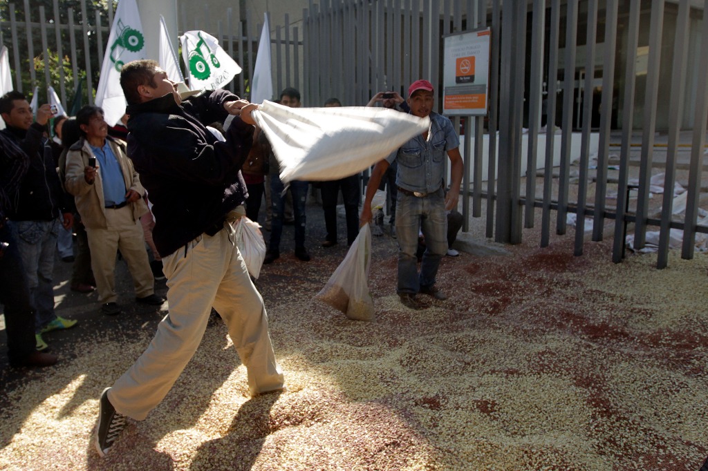 Productores de frijol y maíz en una protesta frente a la Secretaría de Economía contra la crisis de precios. Foto: Marco Peláez