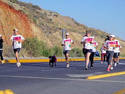 Se tuvo la participación de 400 corredores; algunos llevaron a sus mascotas ■ foto: La Jornada Zacatecas