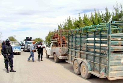 Los ganaderos tienen la obligación de permitir la verificación del ganado, afirman ■ Foto: La Jornada Zacatecas