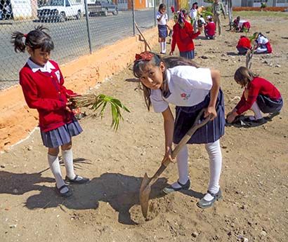 Alumnos de las escuelas Francisco García Salinas y Carmen Serdán tomaron parte activa en la plantación de árboles ■ foto: La Jornada Zacatecas