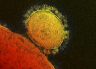 Coronavirus MERS. Foto Reuters