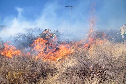 Explican que en la mayoría de los casos los incendios son provocados por dejar fogatas mal apagadas o arrojar colillas de cigarro ■ foto: La Jornada Zacatecas