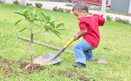 Buscan generar conciencia instruyendo a los niños sobre la importancia de la reforestación ■ foto: LA JORNADA ZACATECAS