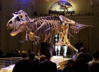 Esqueleto de dinosaurio en Museo de Chicago. Foto Reuters