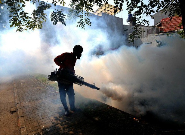 Yakarta. Un empleado utiliza una máquina de humo para evitar el esparcimiento de la fiebre del dengue y la fiebre Chikungunya que provienen de mosquitos Foto: Xinhua