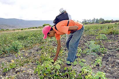 Menos de 25% del total de créditos que se otorgan en Zacatecas se destinan a actividades productivas ■ foto: LA JORNADA ZACATECAS