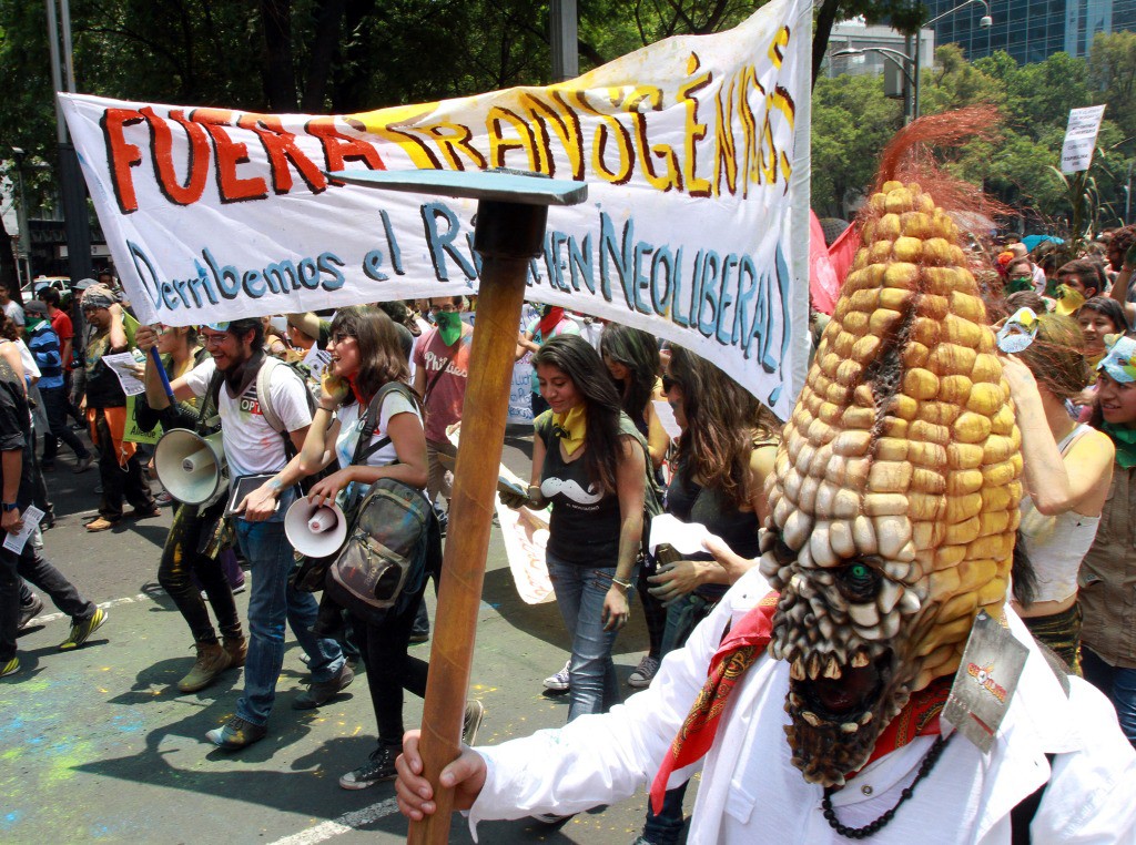 Carnaval del Maíz, convocado por diversas organizaciones contra las siembras de maíz tránsgenico, a finales de mayo pasado. Foto: La Jornada