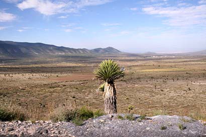 Buscan que el semidesierto zacatecano sea declarado como Área Natural Protegida, en su categoría de Reserva de la Biósfera. Aspectos de Mazapil ■ FOTO: MIGUEL ÁNGEL NÚÑEZ