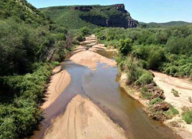 Muchos tramos del cauce del río Sonora se encuentran casi secos. Sus lodos contaminados con sulfato de cobre brillan al sol. Foto Mireya Cuéllar