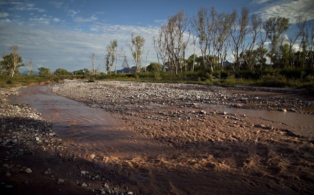 Tramo del río Sonora, en la comunidad de Aconchi, contaminado por el derrame de 40 mil metros cúbicos de desechos tóxicos el pasado 6 de agosto. Foto Rashide Frías / Cuartoscuro