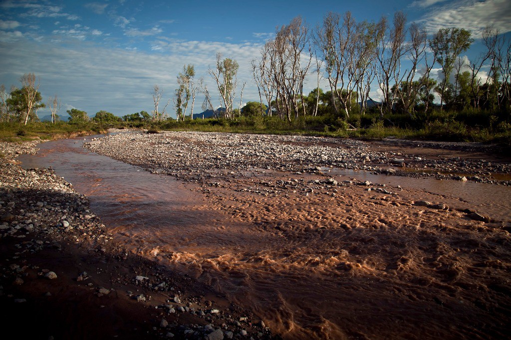 Tramo del río Sonora en la comunidad Aconchi, contaminado por los desechos tóxicos de la mina Buenavista del Cobre. Foto Cuartoscuro / Rashide Frías