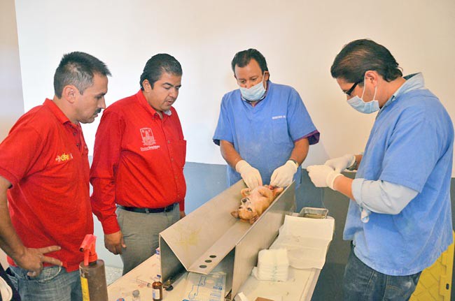 Se efectuaron desparasitaciones, vacunas y esterilizaciones, así como asesoría para el manejo de perros y gatos ■ foto: La Jornada Zacatecas