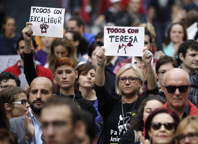 Protesta en Madrid contra el asesinato de “Excalibur”, el perro de la enfermera española Teresa Romero, quien es la primera persona en contraer el ébola fuera de África. Foto Reuters