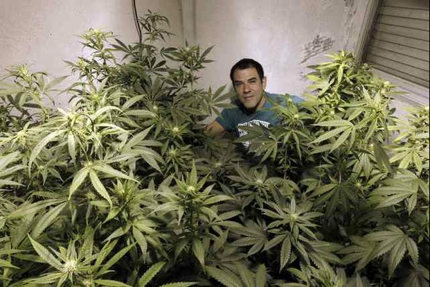 El activista uruguayo Juan Vaz, con su cultivo de mariguana. Foto Reuters