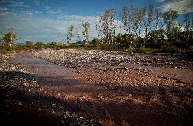 Tramo del río Sonora en la comunidad de Aconchi, el cual forma parte del río contaminado desde el pasado 6 de agosto cuando se registró el derrame de 40 mil metros cúbicos de desechos tóxicos en los ríos Bacanuchi y Sonora. Foto Cuartoscuro