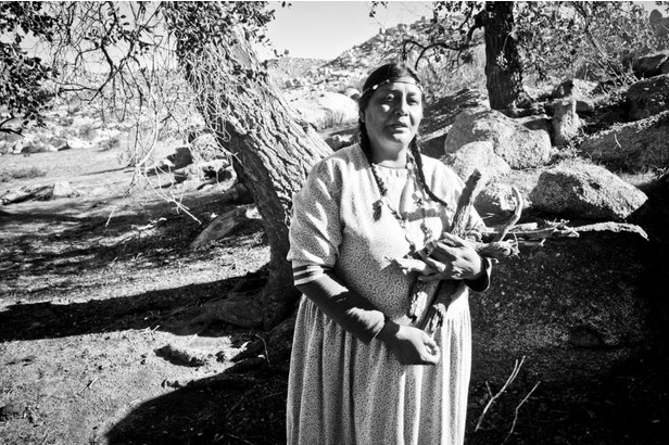 Norma Meza, de la etnia kumiai, debajo del gran encino ubicado en su localidad. Foto Roberto Armocida