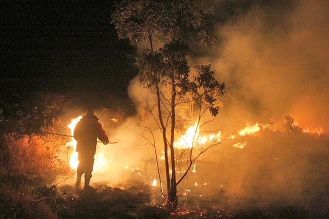 En 2011 se tuvo una afectación de 40 mil hectáreas por el fuego, señalan autoridades ■ foto: La Jornada Zacatecas