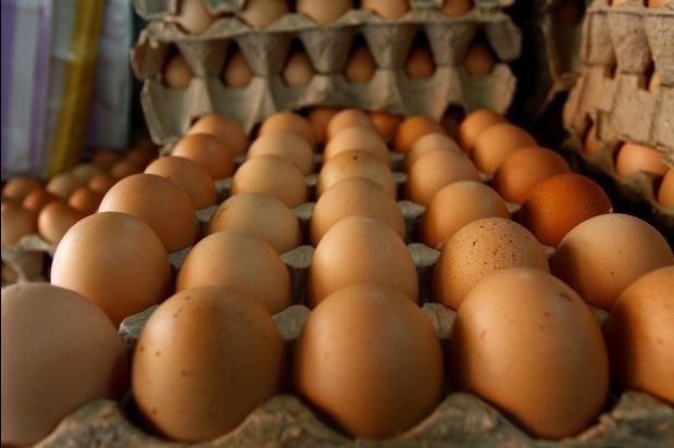A dos semanas de que el precio del huevo se disparó hasta superar los 40 pesos por kilo, la Cofece determinó iniciar una investigación al respecto. Foto Cuartoscuro / Archivo