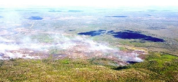 Un incendio forestal que se originó en “Rio Grande”, QR, ya se internó a territorio campechano y se ha convertido en un peligro para la Reserva de la Biosfera de Calakmul