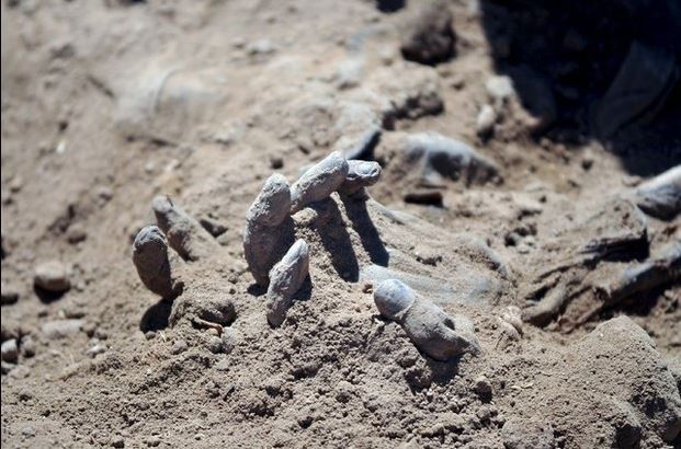 Las autoridades iraquíes encontraron fosas comunes con cientos de muertos en Tikrit. Foto Reuters