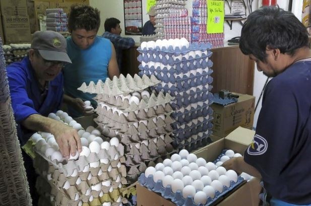 Venta de huevo en la Central de Abastos. Foto: La Jornada