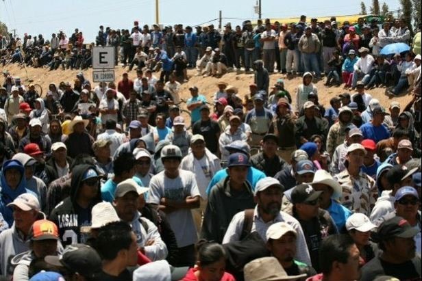 En la imagen, más de 4 mil trabajadores agrícolas de San Quintín esperan la respuesta de la Secretaría de Gobernación a su pliego petitorio, en imagen del 8 de mayo pasado. Foto: La Jornada