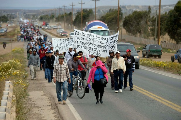 Jornaleros de San Quintín protestaron el pasado 24 de abril para exigir el aumento de salario. Foto: La Jornada
