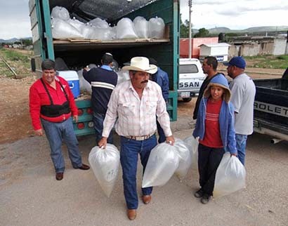 Aspecto de la entrega de apoyos a los beneficiarios ■ FOTO: LA JORNADA ZACATECAS