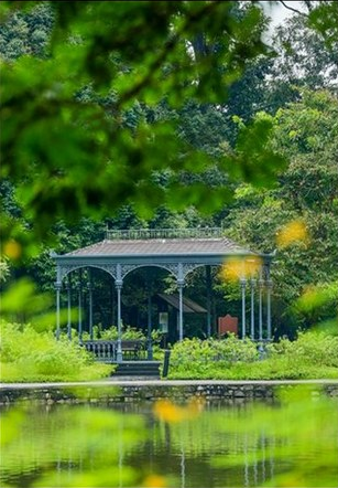 El Jardín Botánico de Singapur ingresó en la lista del Patrimonio Mundial de la Unesco. Foto cedida por el organismo a Xinhua