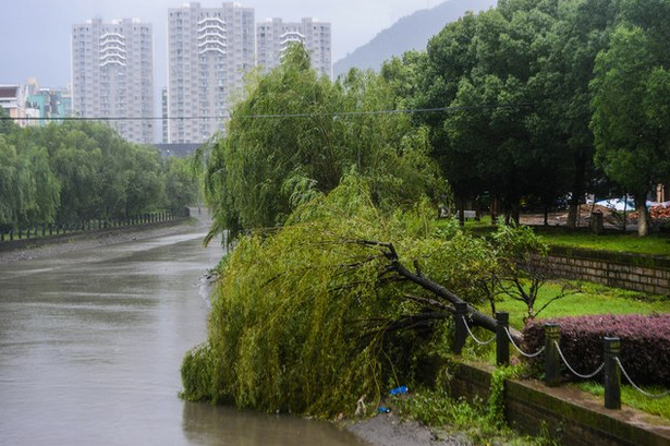 El potente tifón 'Chan-hom' golpeó las costas orientales de China, obligando al desalojo de más de un millón de personas y provocando perturbaciones en los transportes y lluvias torrenciales. Foto Xinhua
