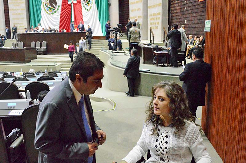 Claudia Anaya, en el Palacio Legislativo de San Lázaro ■ FOTO: FACEBOOK