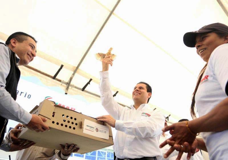 Durante su gira, el mandatario estatal entregó 250 paquetes de aves de traspatio de doble propósito, para huevo y carne, con un costo de 137 mil 500 pesos ■ FOTO: LA JORNADA ZACATECAS