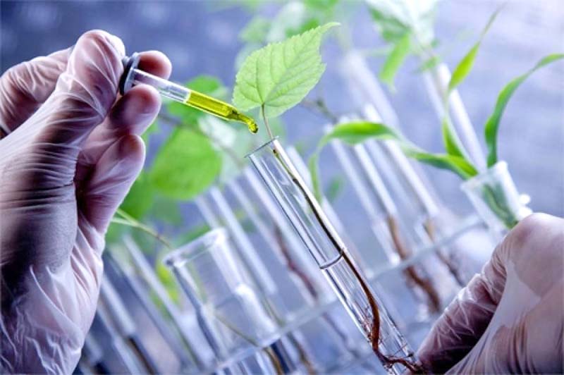 El CETAC es un subsistema cuyo programa educativo se refiere al uso adecuado del agua, los aspectos de la biotecnología, entre otros ■ FOTO: LA JORNADA ZACATECAS