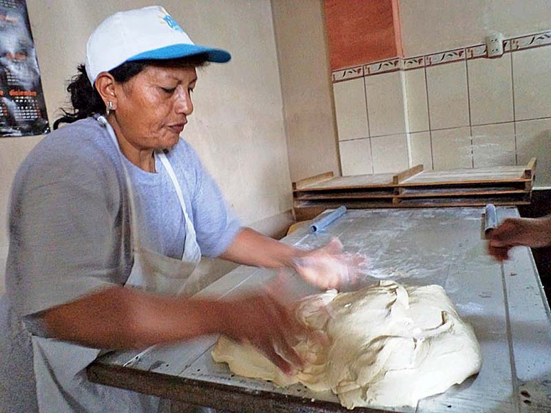 Las jefas de familia podrán obtener ingresos derivados de su trabajo ■ foto: la jornada zacatecas