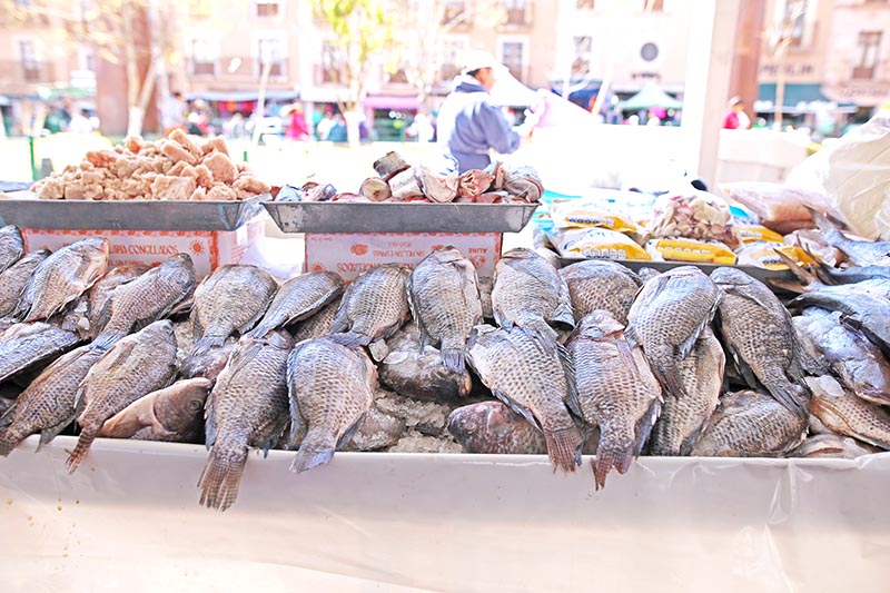 Hay un programa de revisión para determinar la calidad del pescado que llega a Zacatecas, señalan las autoridades ■ foto: andrés sánchez