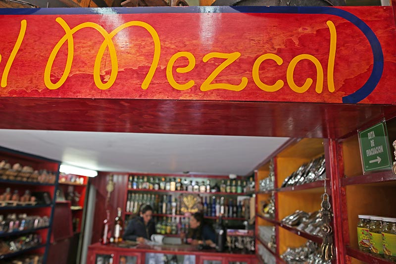 Se calcula que en Zacatecas hay 600 pequeños productores de mezcal que dependen de las 71 fábricas de esta bebida que hay en la entidad ■ FOTO: andrés sánchez