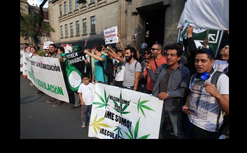 Decenas de pérsonas exigen la regulación del consumo de mariguana. Foto José Antonio López