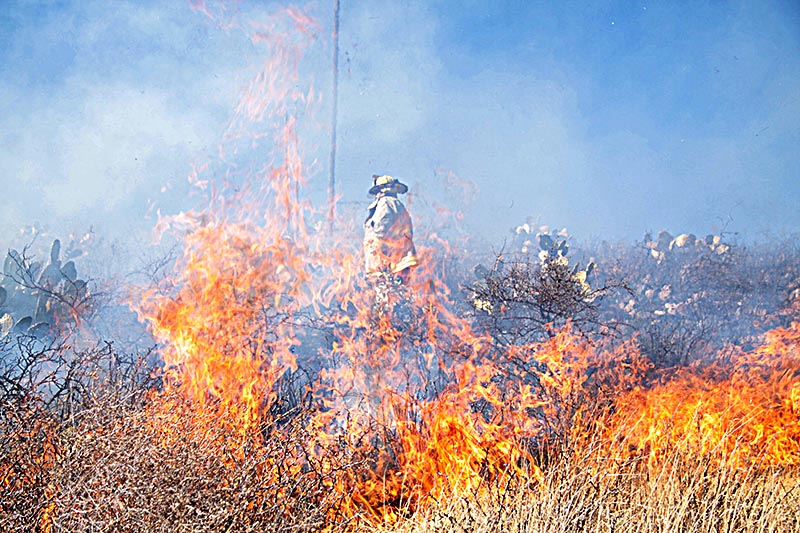 Bomberos, militares y brigadistas se encargan de combatir incendios forestales, para lo cual reciben capacitación ■ FOTO: LA JORNADA ZACATECAS
