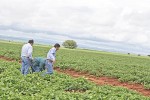 p13 La Jornada Zacatecas Desabasto agua ok (1)