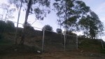 IMG-20160711-WA0002
