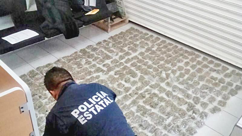 Fueron incautadas 491 bolsitas de plástico, que contenían mariguana ■ foto: la jornada zacatecas