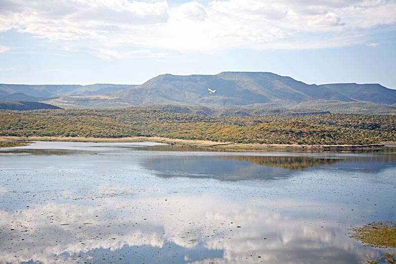 La presa de El Chique, en Tabasco, registra 81.3 por ciento de su capacidad. Imagen de archivo ■ FOTO: LA JORNADA ZACATECAS