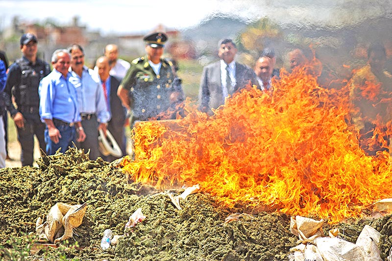 En un predio ubicado en La Escondida, autoridades estatales y federales de seguridad presenciaron la incineración, por tanto, de 2 toneladas 412 kilos de marihuana, 5 kilos 647 gramos de semillas, 39 gramos de cocaína y 7 gramos de metanfetaminas ■ FOTO: ERNESTO MORENO