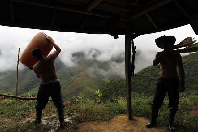 Padre e hijo procesan las hojas de coca para convertirlas en pasta, uno de los pasos en la fabricación de cocaína. Antioquia, Colombia, el 7 de enero de 2016. Foto Ap